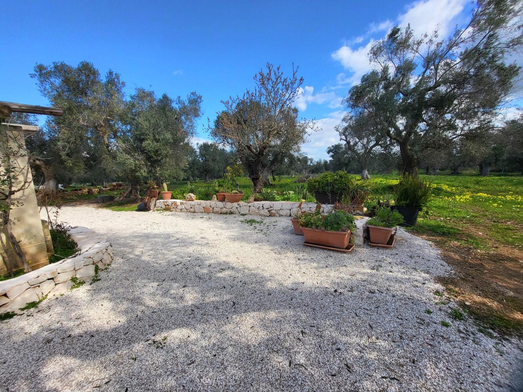 Trullo Incantevole أوستوني المظهر الخارجي الصورة